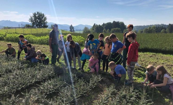 Die Kinder der VS Schönau verfolgen den weg vom Baum zum Möbel. (Foto: VS Schönau)