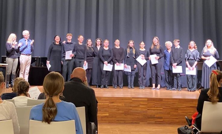 Die Streicher-Ensembles der LMS Rohrbach erspielten zwei Goldmedaillen. (Foto: LMS Rohrbach)