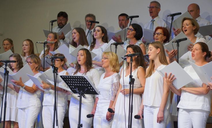Pro musica (Foto: privat)