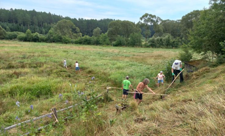 (Foto: Naturschutzbund OÖ)