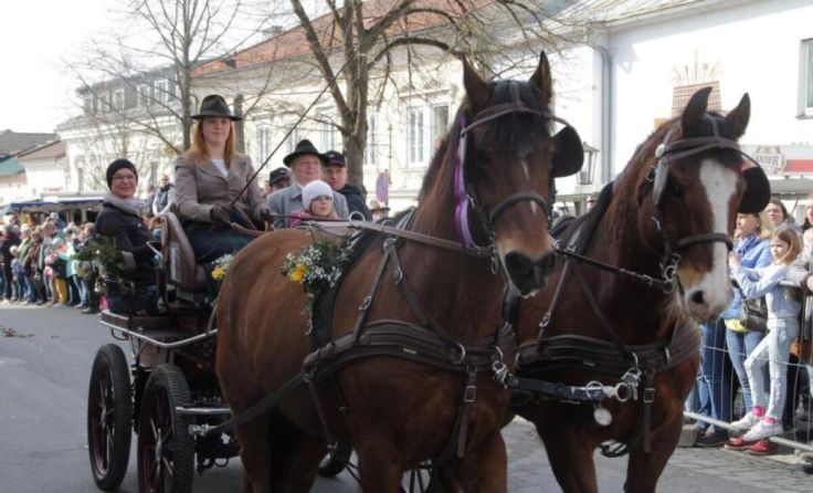Augenschmaus mit Tradition: Einzug der Gespanne und Reiter (Foto: Greindl)