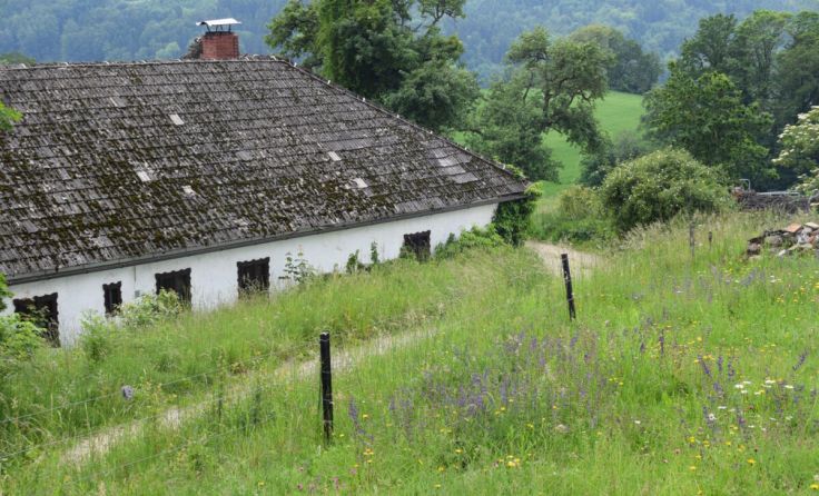 Der Mühlbergerhof in Lehen 21 ist Treffpunkt für die vogelkundliche Wanderung. (Foto: Heidi Kurz)
