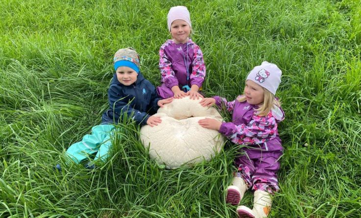 Der Riesenbovist tauchte auf der Wiese von Familie Etzelstorfer auf. (Foto: Etzelstorfer)