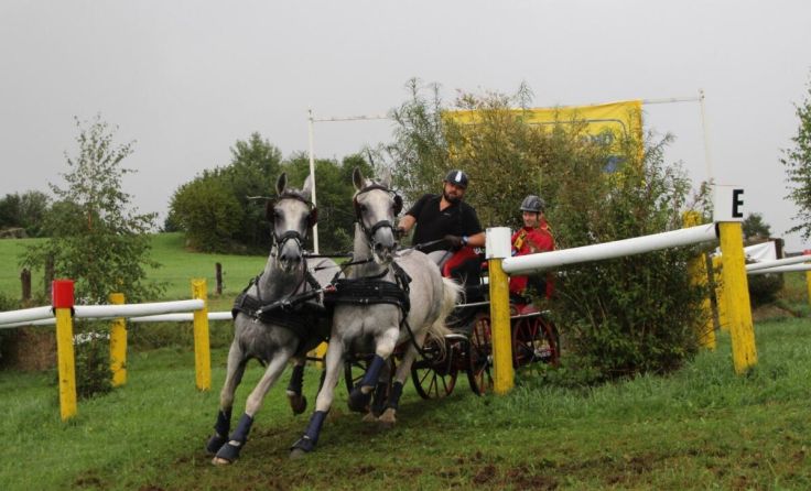 Die Zuseher dürfen sich auf spektakuläre Turnierszenen freuen. (Foto: Reitverein)