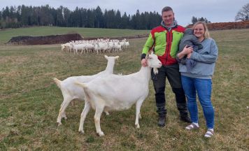 Ziegenmilch, Kitzzeit und Familienglück am Bio-Ziegenhof Rinnerberger in Bad Zell