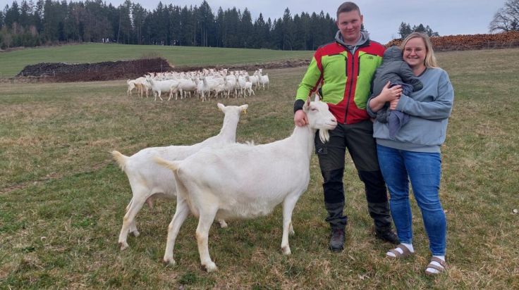 Ziegenmilch, Kitzzeit und Familienglück am Bio-Ziegenhof Rinnerberger in Bad Zell