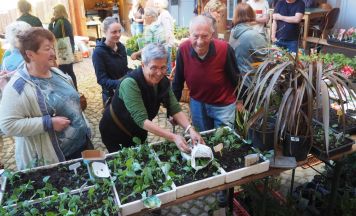 Pflanzlmarkt trifft Kunsthandwerk im Otelo Mühlviertler Alm