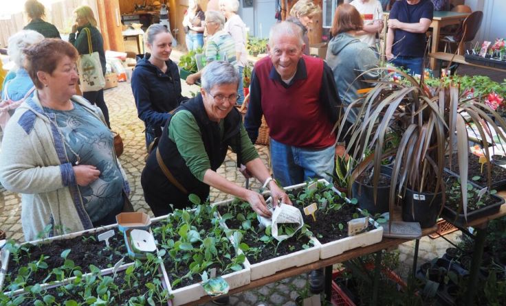 Ein reichhaltiges Angebot an Pflanzen erwartet die Besucher. (Foto: Ludwig Riepl)