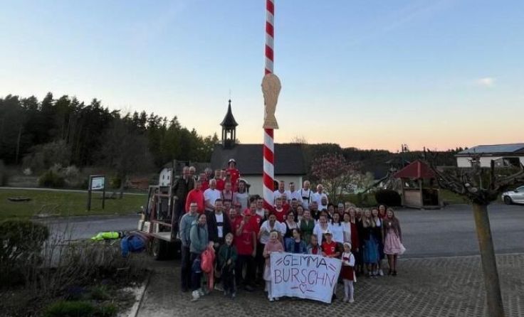 Maibaum in Rot-Weiß-Rot (Foto: privat)