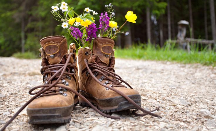 Wanderlust (Foto: Jenny Sturm/Adobe Stock)