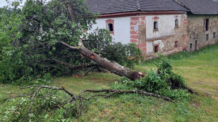 Entwurzelte Bäume und abgedeckte Dächer nach Gewittersturm 