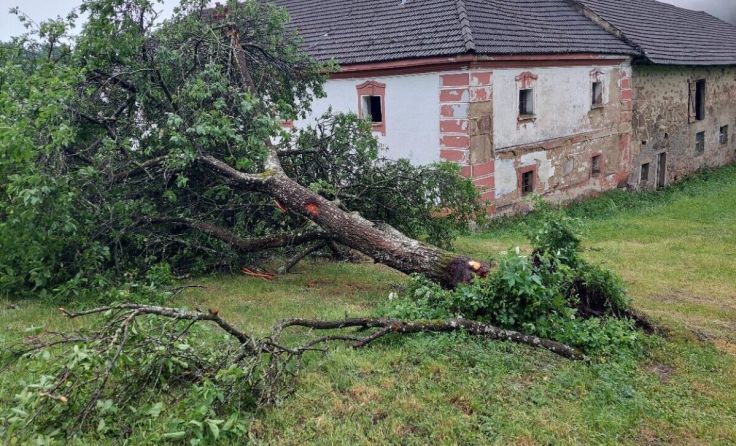  (Foto: Greindl)
