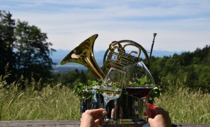 Eine hervorragende Kombination: Wein und Musik am Großdöllnerhof (Foto: privat)