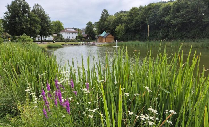 Idyllisch am Freizeitteich gelegen: die Kulturbühne (Foto: Kulturforum Bad Zell)
