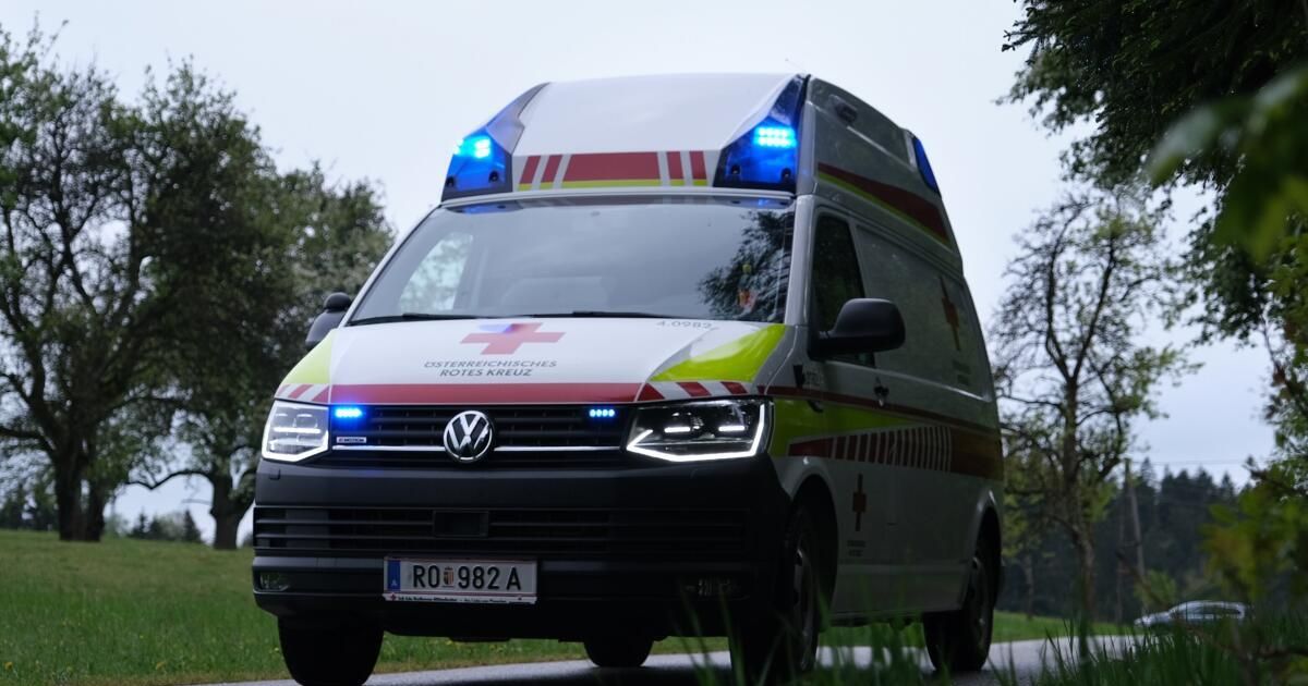 Motorradfahrer bei Sturz in Lamm verletzt