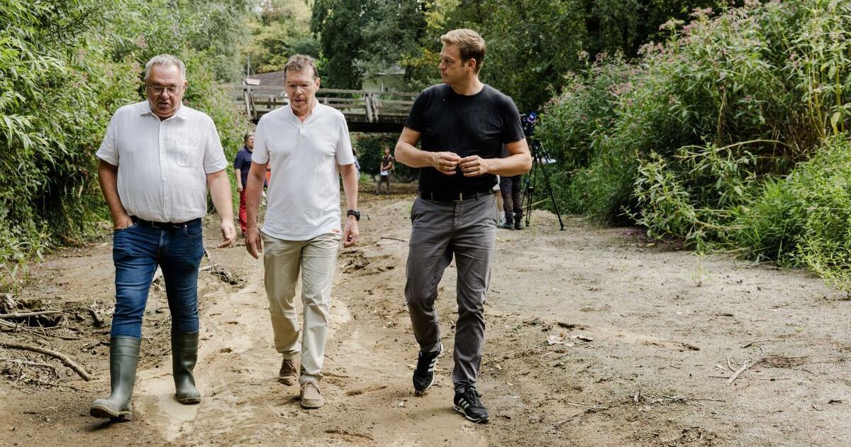 Gusen River in Langenstein Dried Up: 
