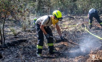Abgestürztes Modellflugzeug löste in Pregarten Wiesenbrand aus