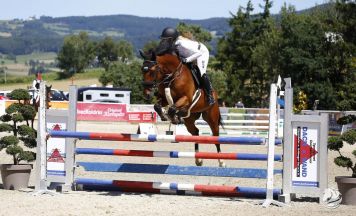Reitsport-Highlight in Lasberg