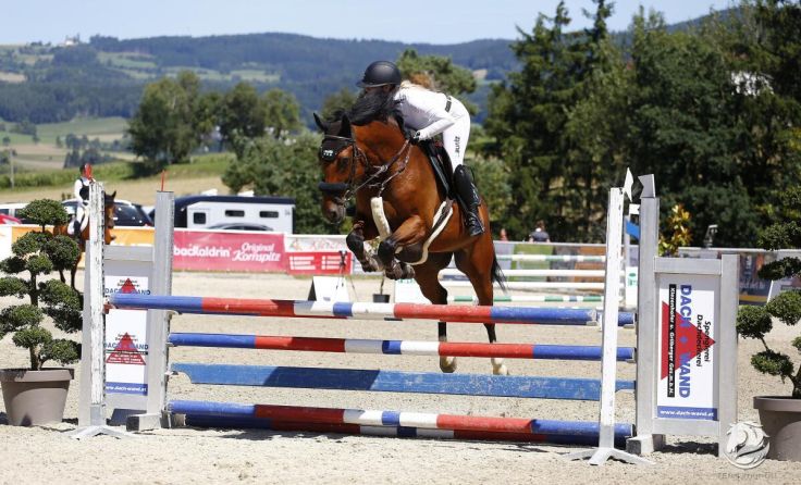 Bei den Turnieren in Lasberg herrschen Top-Bedingungen. (Foto: Team Myrtill)