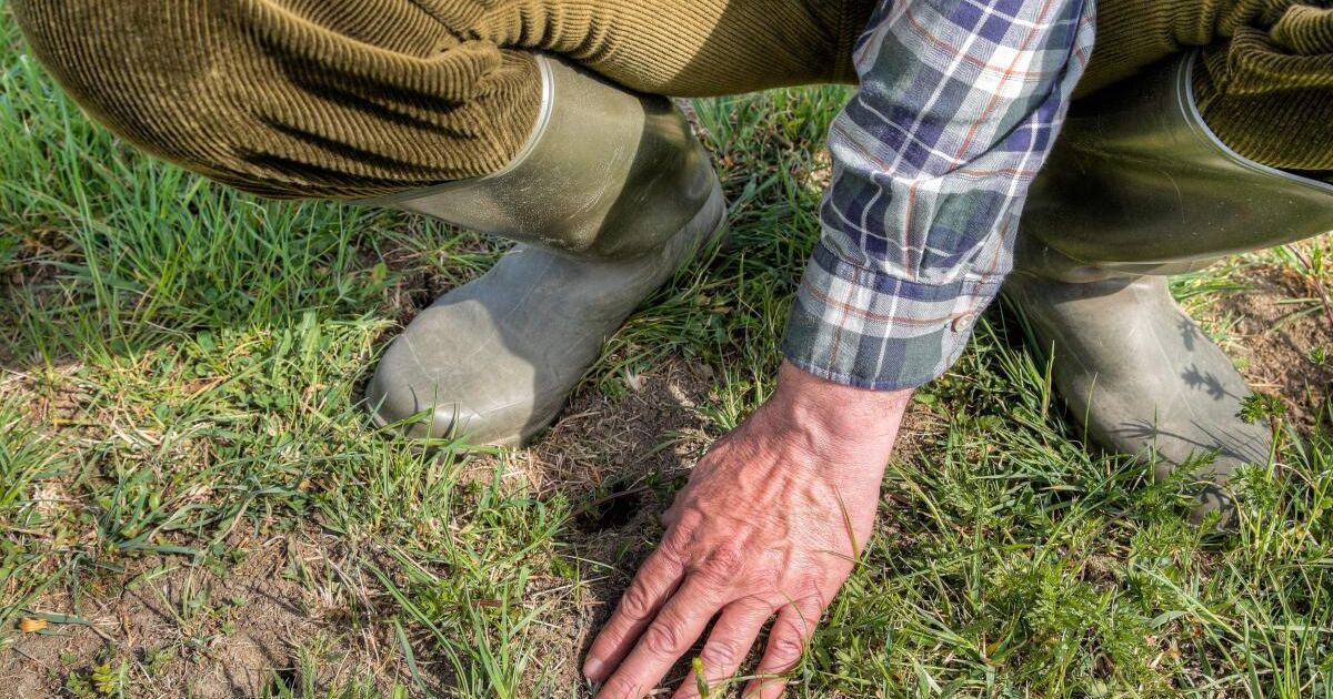 ORF documentary: When the well runs dry