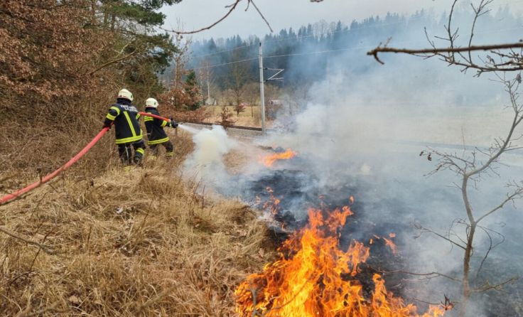 Weitläufige Vegetationsbrände durch defekten Zug (Foto: FF Lasberg)