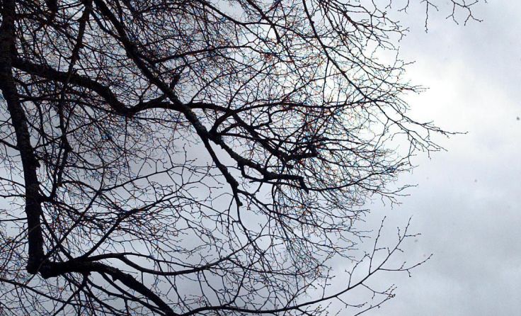 Foto: Weihbold