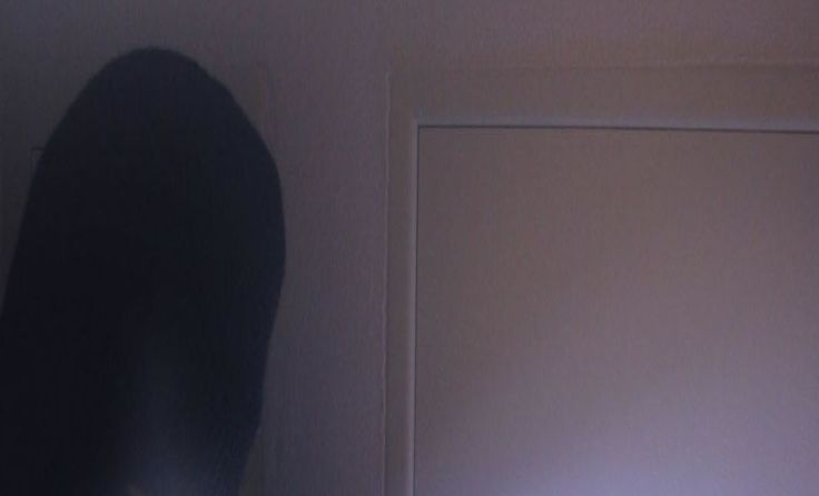 Foto: Wodicka