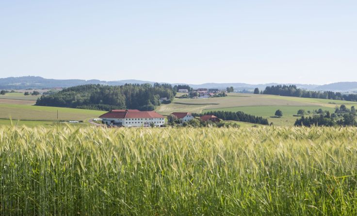 Vor allem Ackerbaubetriebe im Zentralraum sorgen für die Steigerung. Foto: LK OÖ 