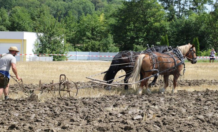 Fotos: Landjugend Oftering-Wilhering