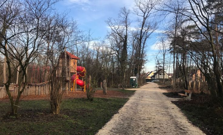 Eine eingezäunte Hundefreilauffläche im Erholungswald wäre ein Vorschlag. Foto: Hofko