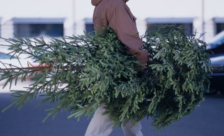 IKEA lädt zum Christbaumweitwurf-Wettbewerb Foto: IKEA