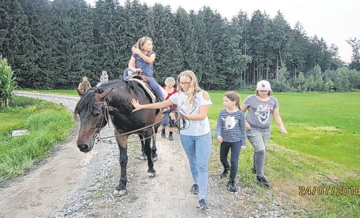 Pasching bietet ein abwechslungsreiches Programm in den Ferien. Foto: Gemeinde Pasching