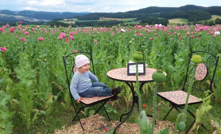 Im Mohnfeld ist's gut rasten, findet Magdalena. Foto: Edith Barth-Raml