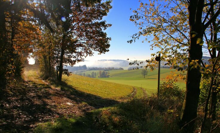 380 Kilometer zu Fuß in 14 Tagen für den guten Zweck