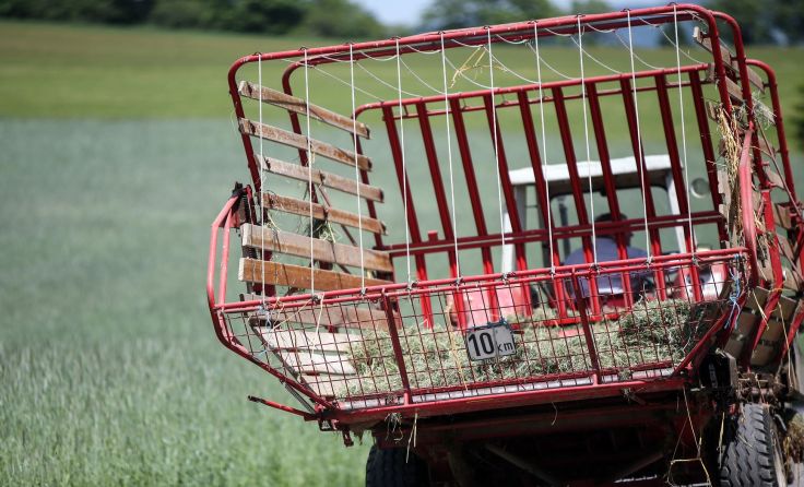 Mager fällt heuer die Ernte des zweiten Grünschnitts aus. 