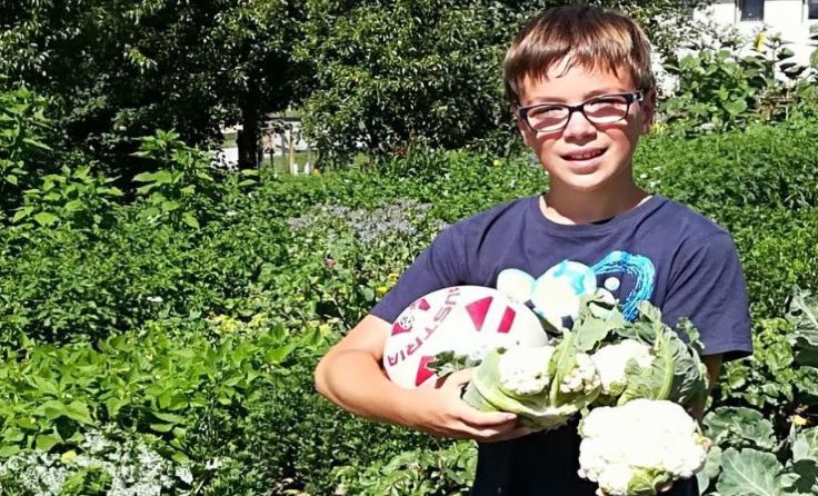 David Zacharias liebt beide Hobbys: seinen Garten und Fußball Foto: Günther Punz