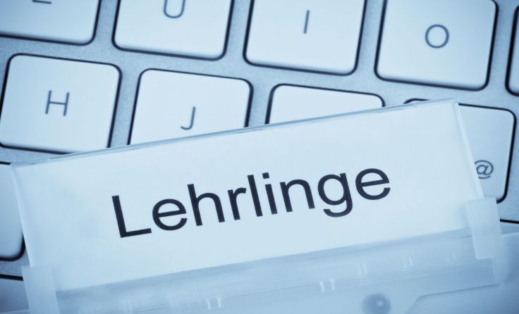 Lehrlinge werden im Bezirk Freistadt händeringend gesucht. Foto: Wodicka