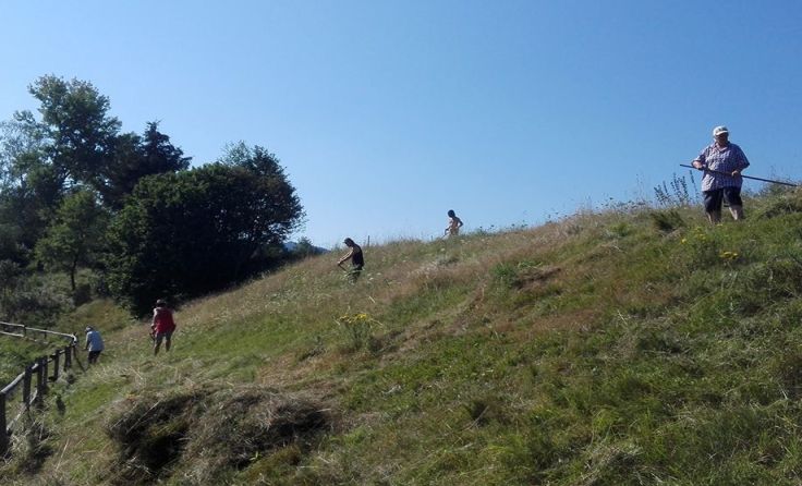Die fleißigen freiwilligen Helfer arbeiteten bei großer Hitze. Fotos: Julia Kropfberger