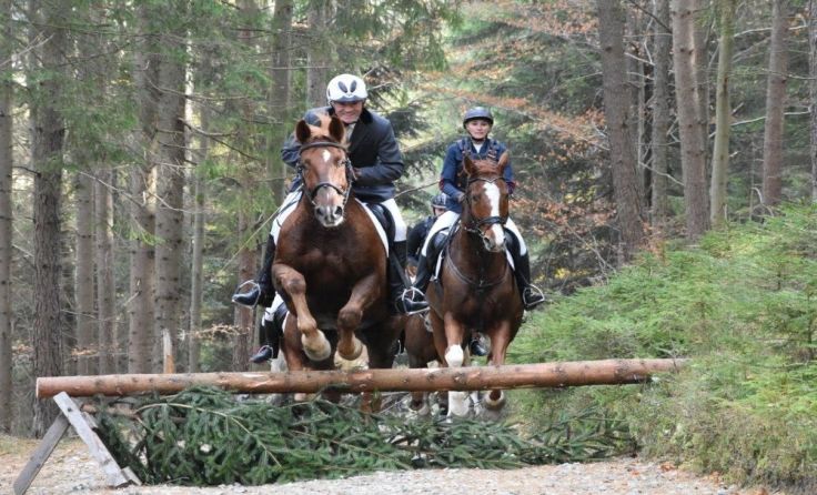 54 Reiter wagten sich über die 86 Hindernisse. Foto: Katrin Windischhofer