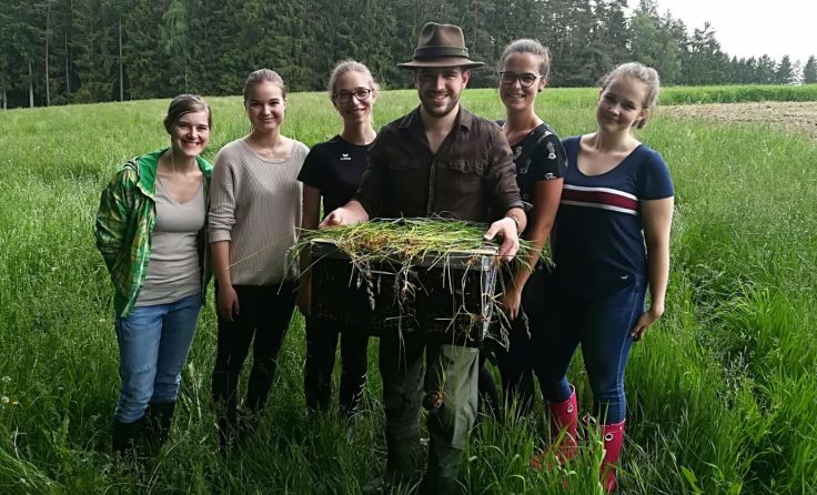 Drei junge Rehe konnten vor dem sicheren Tod bewahrt werden. Fotos: privat 