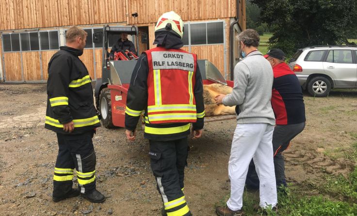 Großeinsatz für Feuerwehr, Polizei und Tierarzt Dr. Jan Stary 