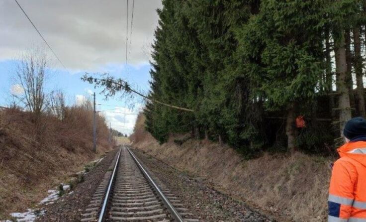 Umgestürzte beschädigten die Oberleitung (Foto: ÖBB)
