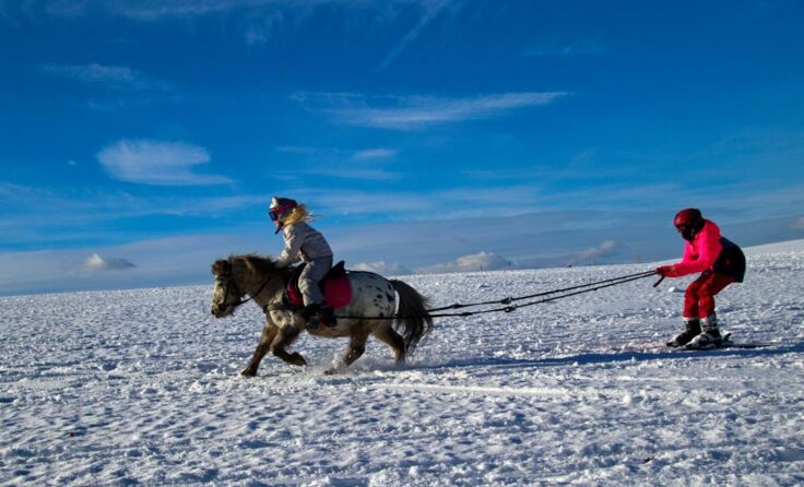 Ein Heidenspaß für Ross, Reiter und Skifahrer (Foto: Ponyhof Daneder)
