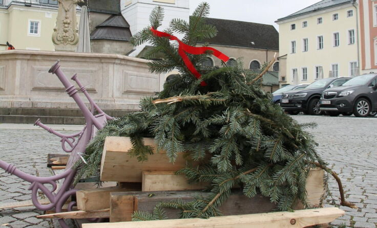 Das ließ die Maibaumcrew aus Neufelden vom Freistädter Maibaum übrig... (Foto: sue)