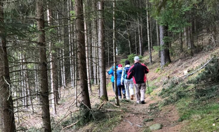 Drei Wanderrouten stehen beim 50. IVV-Wandertag in Freistadt zur Auswahl. (Foto: Josef Klopf)
