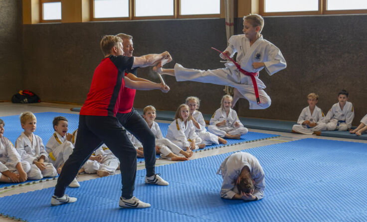 Felix Hofko vom Taekwondo Verein Tragwein beim gesprungenen Yop chagi (Foto: Anja Rieder)