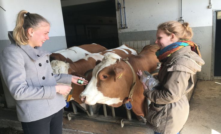 Neue Mittel für die Tiergesundheit. vl. Theresa Rebhandl, Veronika Wagner Foto: HBLA Elmberg
