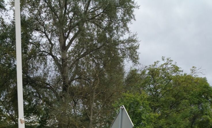 Bild: privat