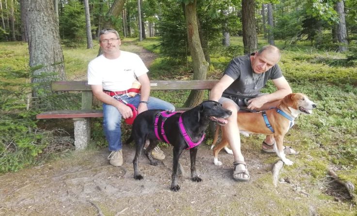 Mittlerweile lebt Sir Henry (r.) bei Familie Walter in Krems und fühlt sich pudelwohl.
