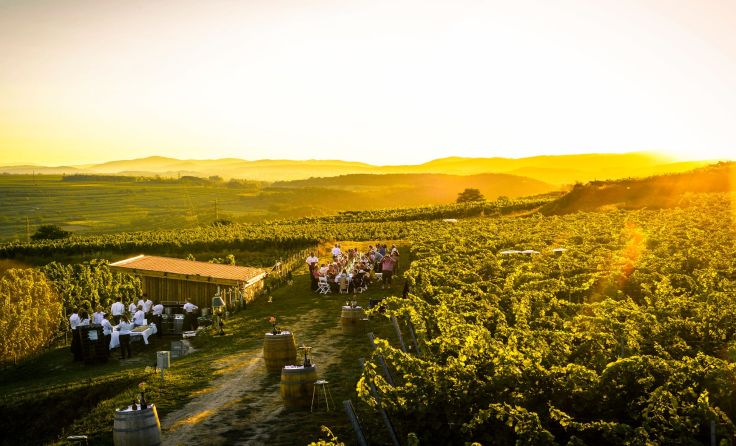 Weinfreunde kommen bei „Kostbares Kamptal“ voll auf ihre Kosten. Foto: Robert Herbst